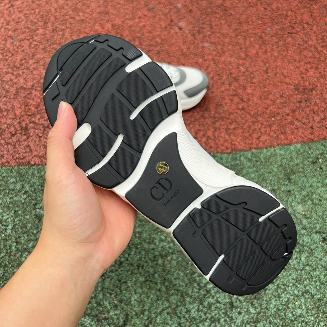 Dior B22 Blanco y Gris