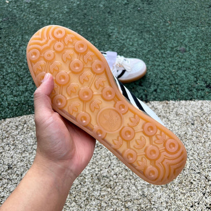 Gazelle Indoor Benito